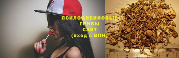 ПСИЛОЦИБИНОВЫЕ ГРИБЫ Козловка