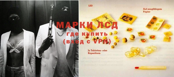 ПСИЛОЦИБИНОВЫЕ ГРИБЫ Козловка