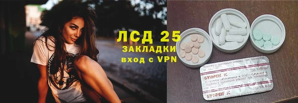 ПСИЛОЦИБИНОВЫЕ ГРИБЫ Козловка