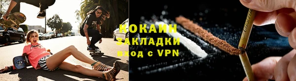 ПСИЛОЦИБИНОВЫЕ ГРИБЫ Козловка