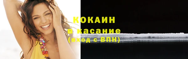 ПСИЛОЦИБИНОВЫЕ ГРИБЫ Козловка