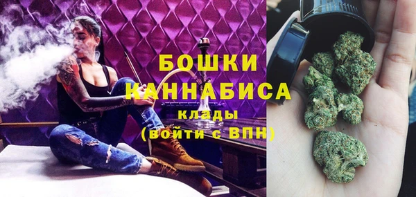ПСИЛОЦИБИНОВЫЕ ГРИБЫ Козловка