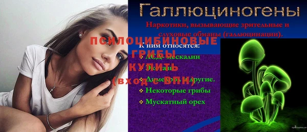 ПСИЛОЦИБИНОВЫЕ ГРИБЫ Козловка